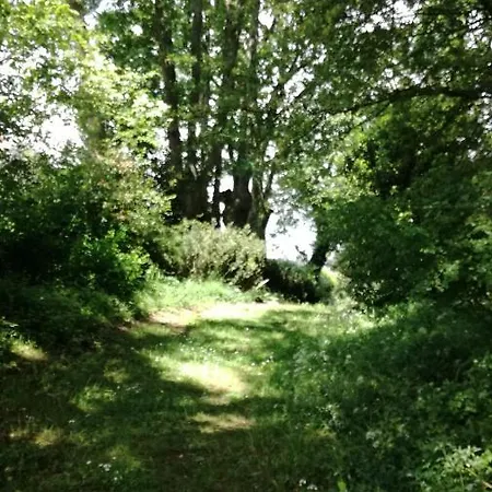 La Casita De Vanessa