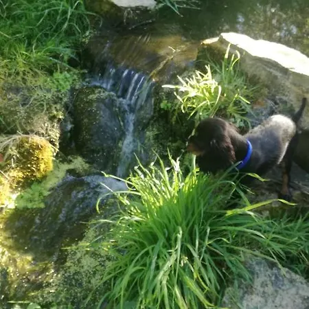 La Casita De Vanessa