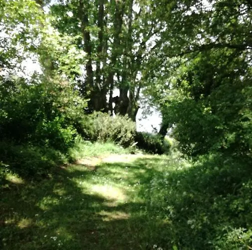 La Casita De Vanessa