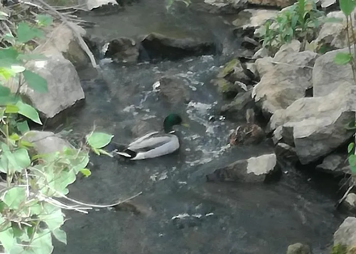 La Casita De Vanessa Ubytování v soukromí Changé