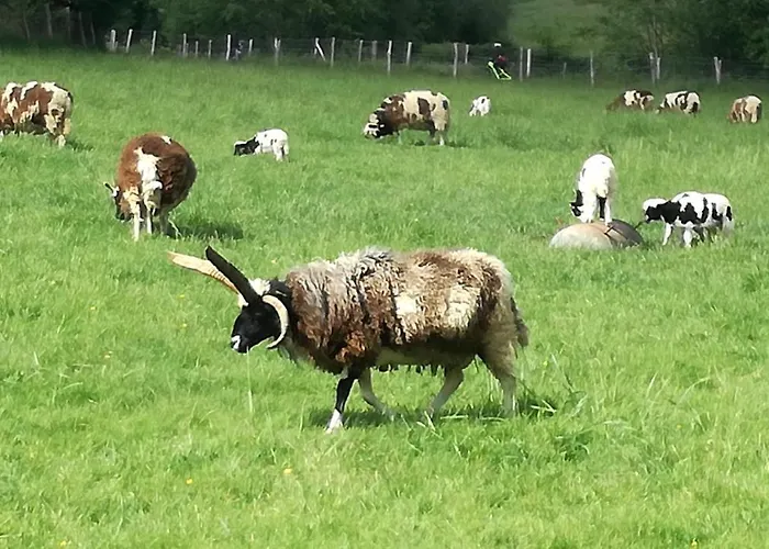 La Casita De Vanessa Ubytování v soukromí